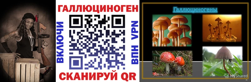 Псилоцибиновые грибы мицелий  наркотики  Бабушкин 