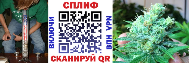 Канабис планчик  Бабушкин 